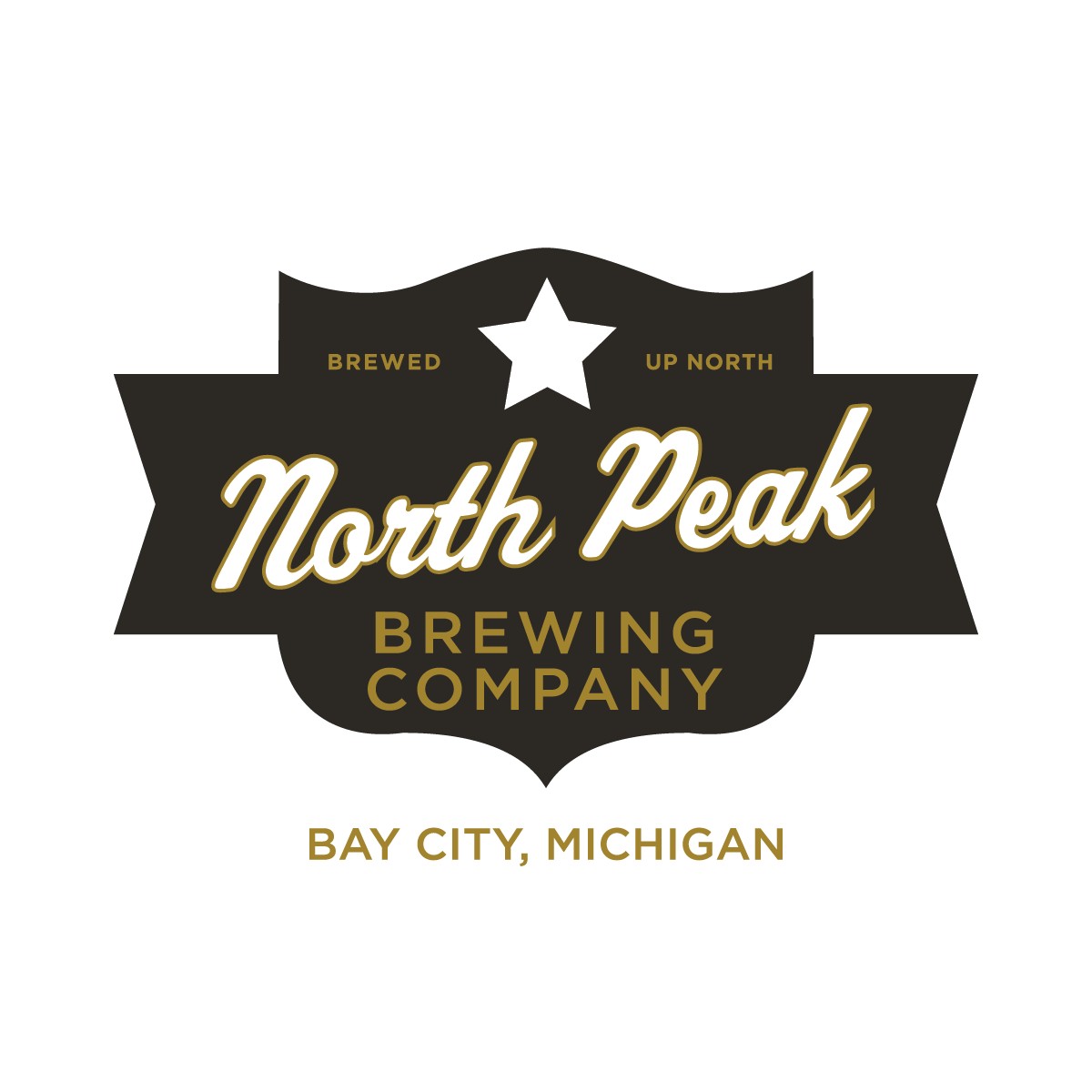 company image